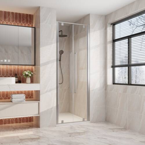 Alpine Double Pivot Shower Door Silver Alpine Double Pivot Shower Door Silver