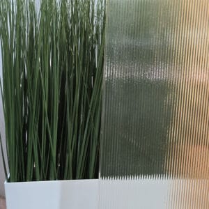 AWISPFG_plant