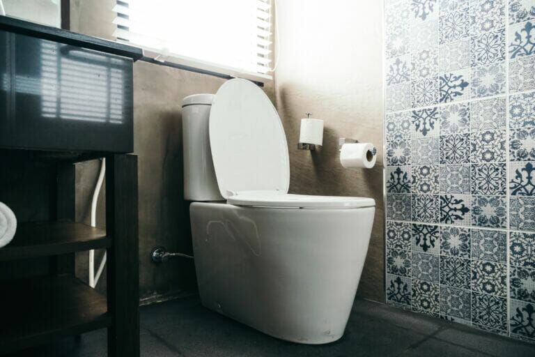 toilets perth