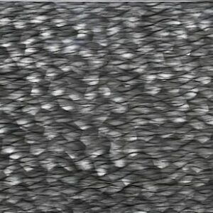 Turretella Glass Tile