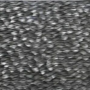 Turretella Glass Tile