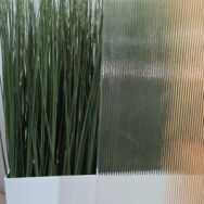Fluted glass screen infront of plant