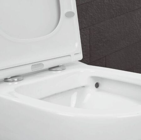 Rimless Toilet