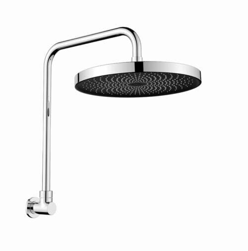 Gabe Gooseneck Shower - Chrome