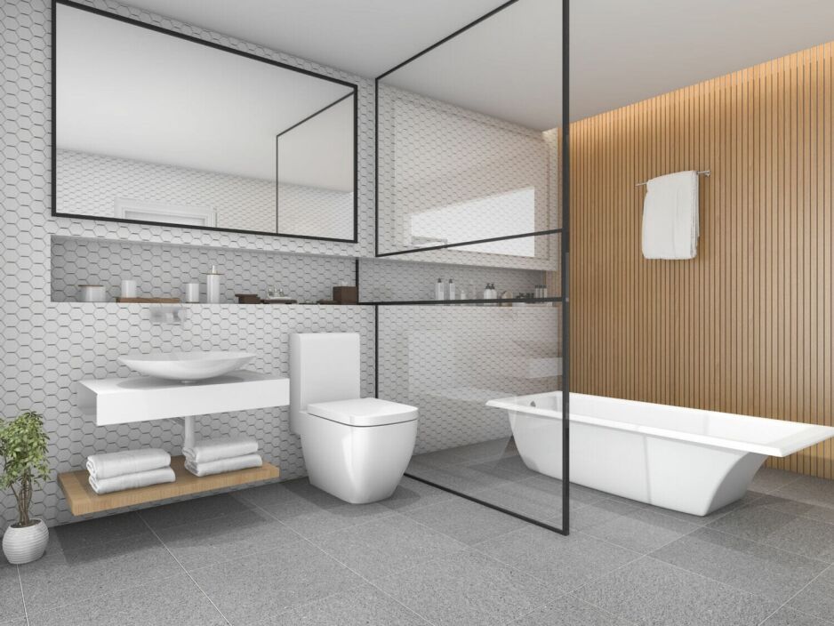 toilet bathroom renovation