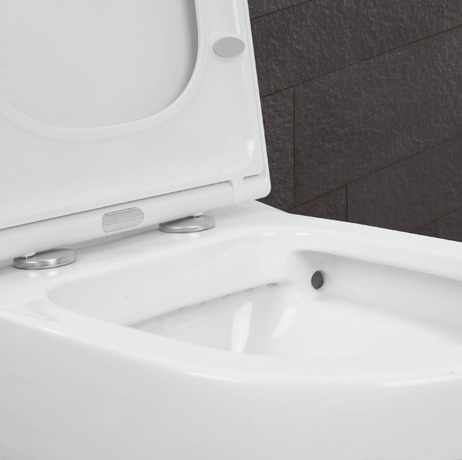 Rimless Toilet