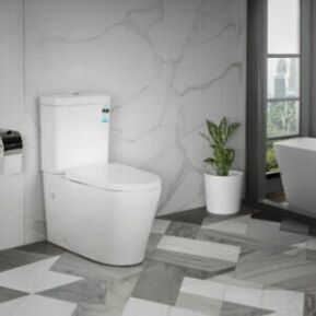 Charli Wall Faced Toilet