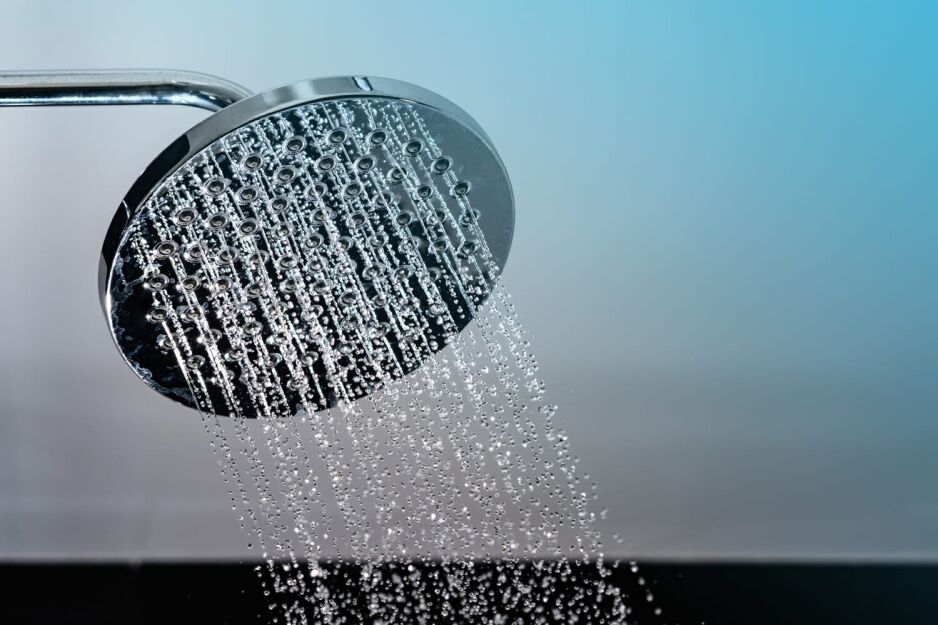 shower arm and shower head