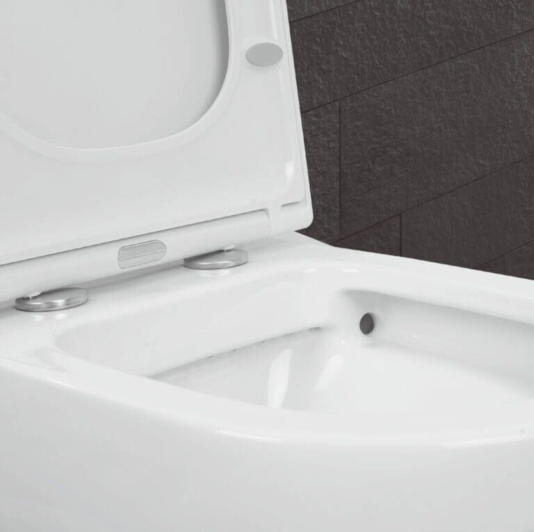 Rimless Toilet