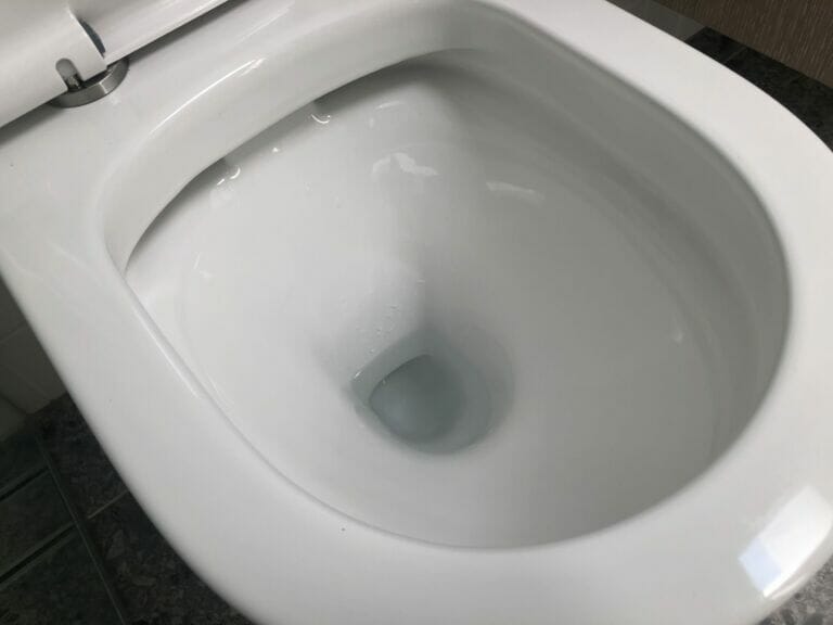 rimless toilets perth